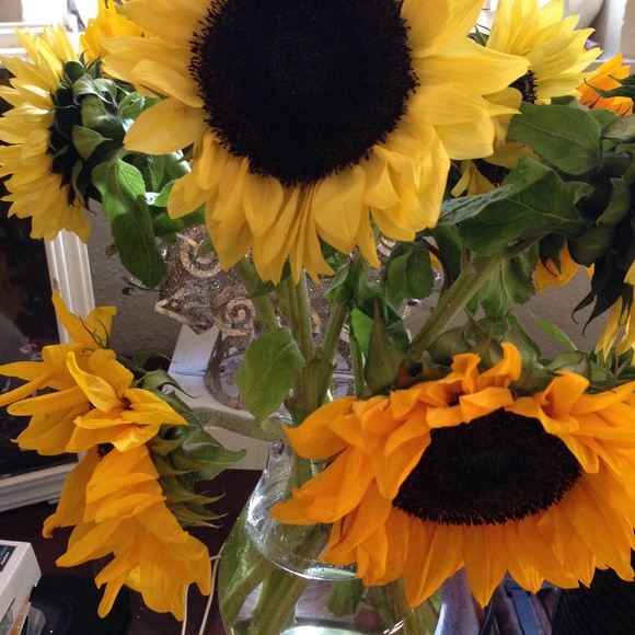 Meet your Posher, Maria - Picture 7 of 8